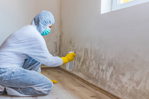 Mold inspector in Elgin performing thermal imaging